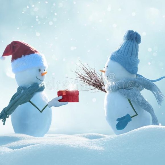 PETITES - Picture 5 of 6